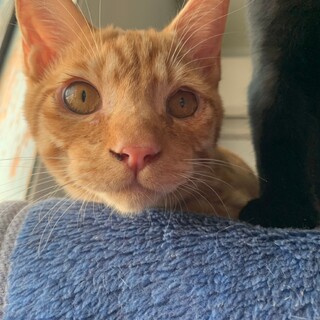 「面談予定」甘えん坊「プール」くん♡