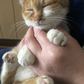 甘えん坊のゆずちゃん