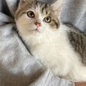 まんまるおめめがかわいい玄師くん☆