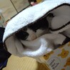 くるみ