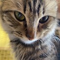 生涯大切に育ててくれる方