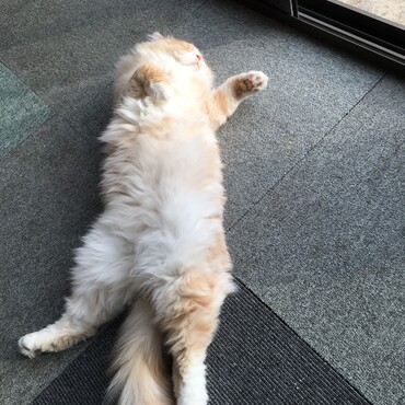 1日1回やってます