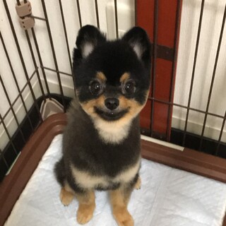 たくさんのご応募有り難うございました。