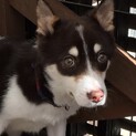 お問合せがあり停止中です