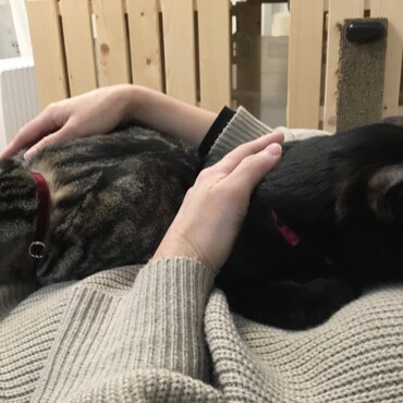 2匹とも甘えん坊♡