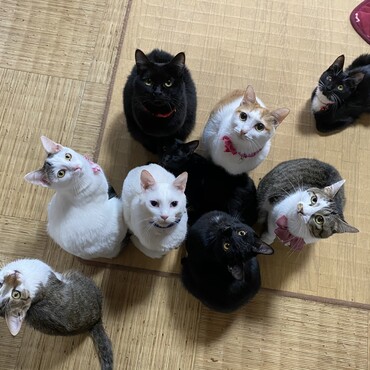 の写真