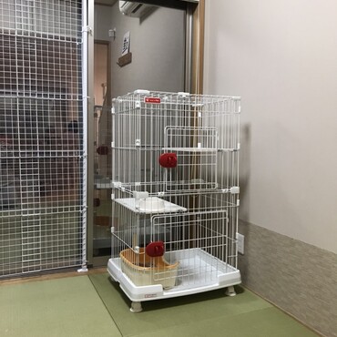 ケージ