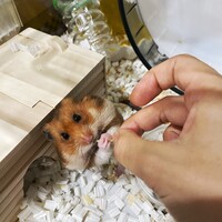 ナツ君