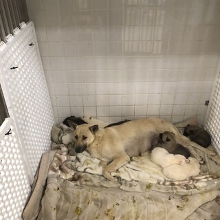 親子で捕獲されてしまいました