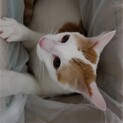 4歳男の子優しい子です