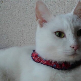 優しく可愛らしい〝マミィちゃん〟です♪