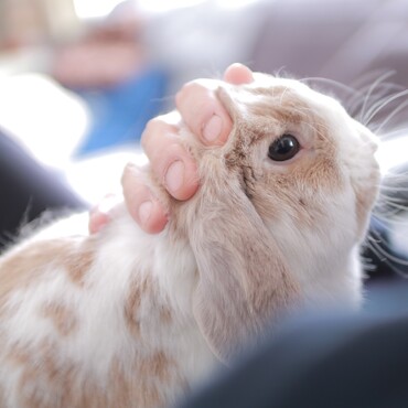 の写真