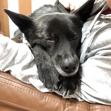 1時間お散歩したあとは2度寝する