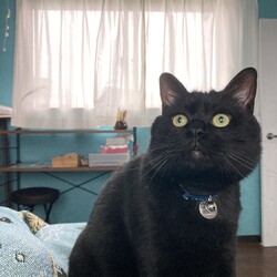 ジジ元気にしています！