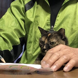 いつもそばにいたい　アリーナちゃん