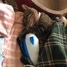 かつおくんと一緒に
