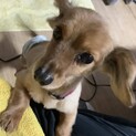 人懐っこくてとっても良い子なロクくん♪