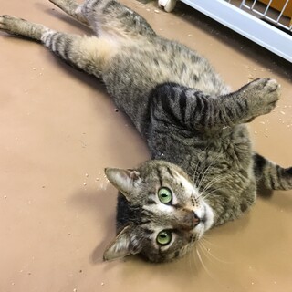 敬遠されがち〝エイズキャリア〟