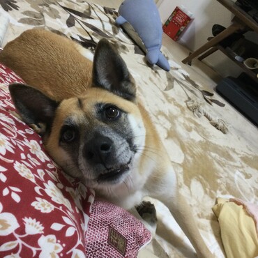 の写真