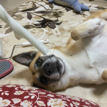 の写真
