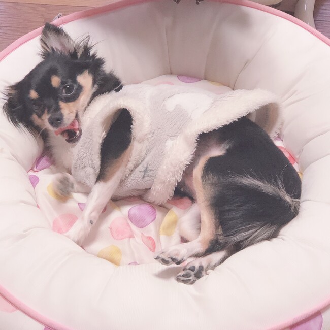 kogikogi0602のカバー写真