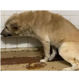 収容期限は1週間しかないです