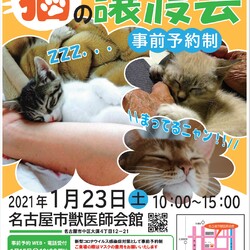 名古屋市動物愛護センター譲渡ボラの譲渡会