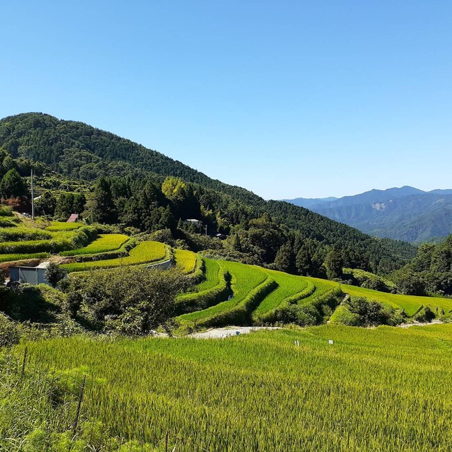 namyy53のカバー写真