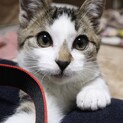 甘えん坊な元気っ子