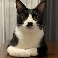 黒音