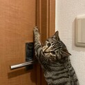 雑種　4ヶ月