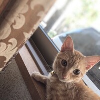 ふみ