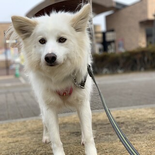 ご家族決定いたしました！ありがとうございました！