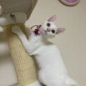 センターから引出し！さだはる君