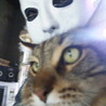 じぇいかん さん