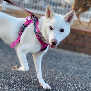 ご家族決定いたしました！ありがとうございました！