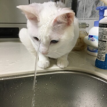 頭にお水…かかってるんですけど〜
