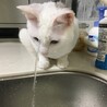 頭にお水…かかってるんですけど〜