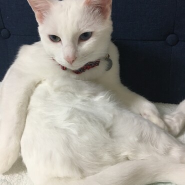 今日は私…なにもしたくなーい