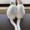 外には鳥たちがいっぱい