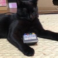 ぽんず