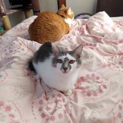 明けましておめでとうございます！