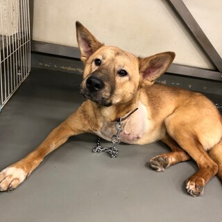 断脚から回復の、うめたけ君→相談中！