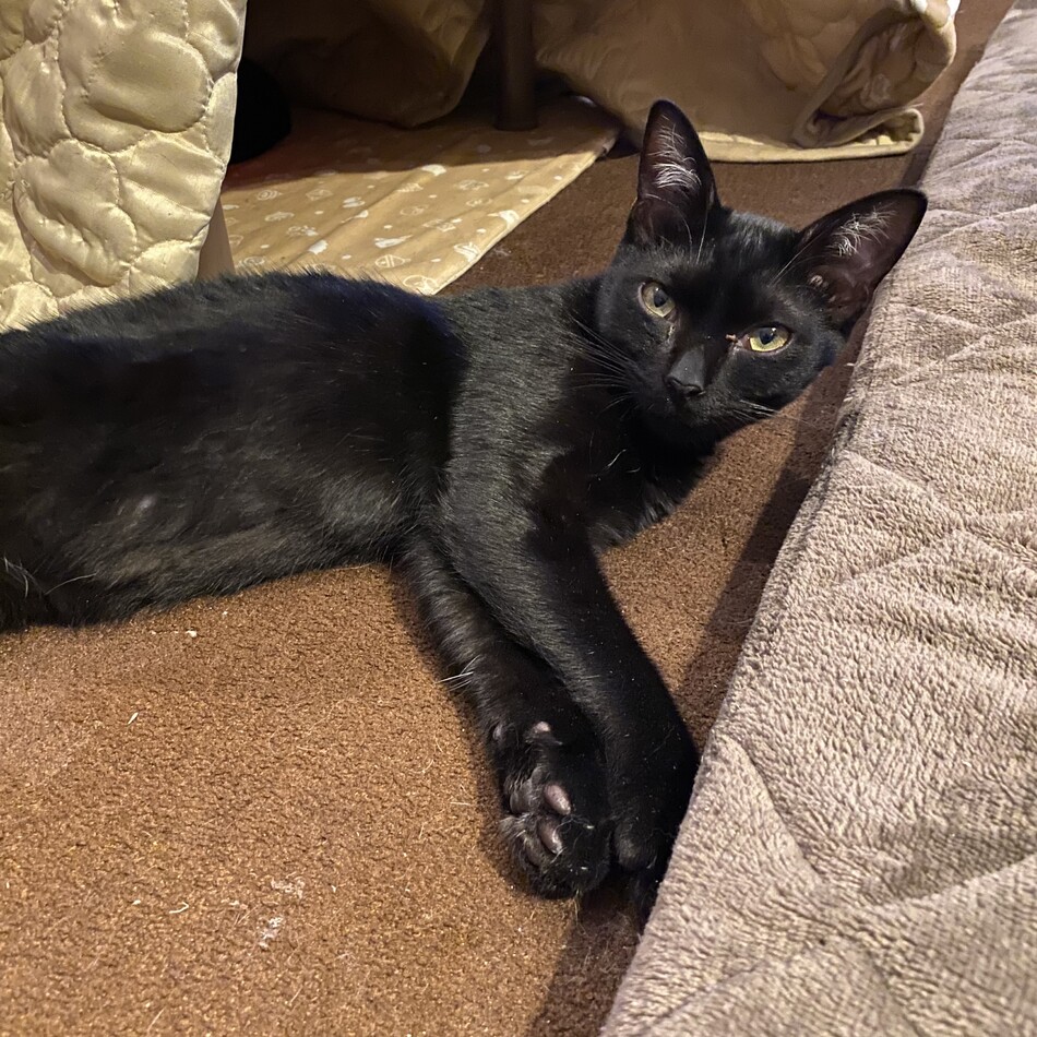 縁のカバー写真