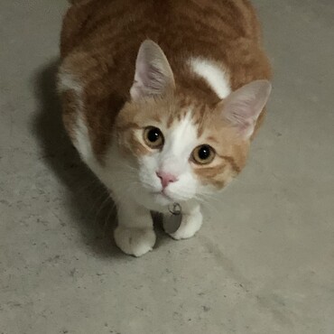 の写真