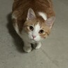 の写真
