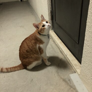 の写真