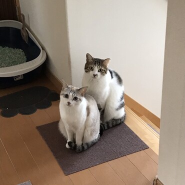 よく似てる、遺伝子の力はすごいね。