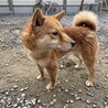 小柄なカンタくん✩.* サムネイル3
