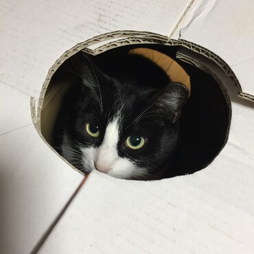 だから〜、あたちの寝床なのぉ〜、